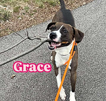 Photo of Grace