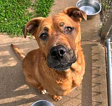 Photo of Spartacus