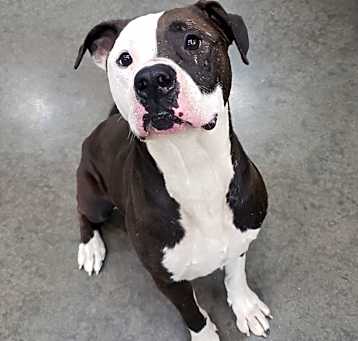 Photo of Tank