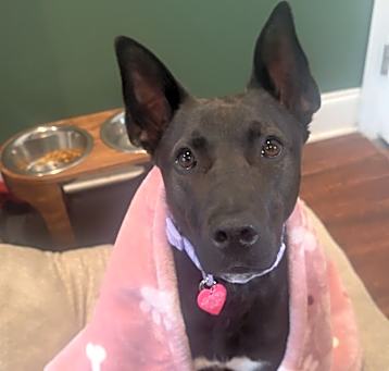 Photo of Zara