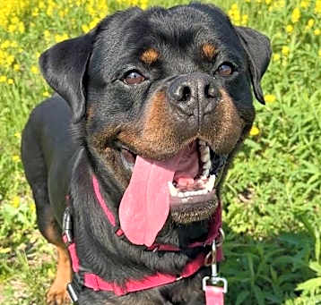 Photo of Cash