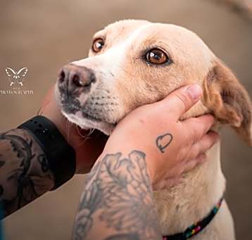 Photo of Hope
