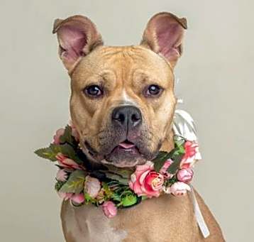Photo of Kizzy