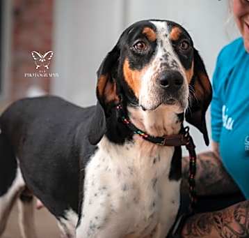 Photo of Lady Bird