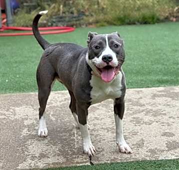 Photo of Coraline