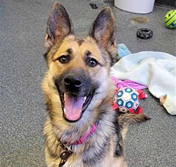 Photo of THEADORA