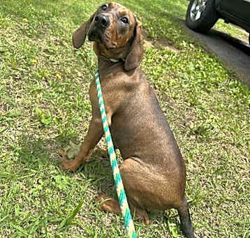 Photo of CLOVIS