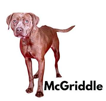 Photo of Mcgriddle