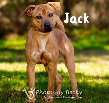 Photo of Jack