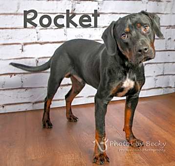Photo of Rocket