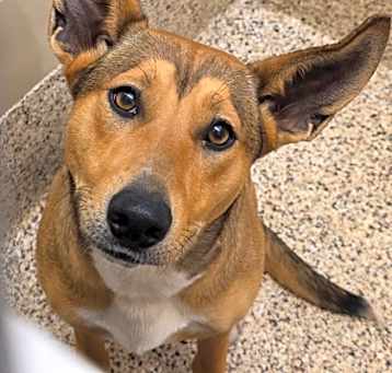 Photo of Tiana 57462