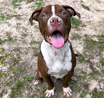 Photo of Murphy