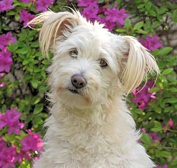 Photo of Bingo