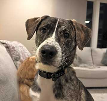 Photo of Bingo