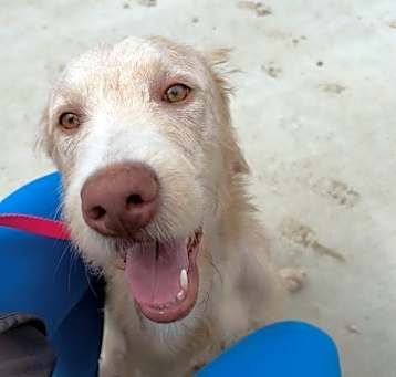 Photo of Jinx