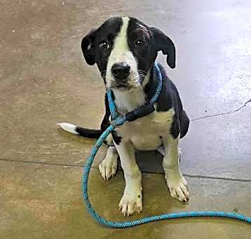 Photo of 250507k029 - Dolly