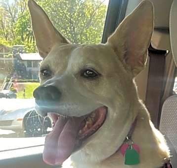 Photo of Lily