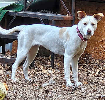 Photo of Lola