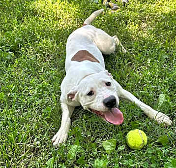 Photo of Delilah