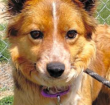 Photo of Hexie