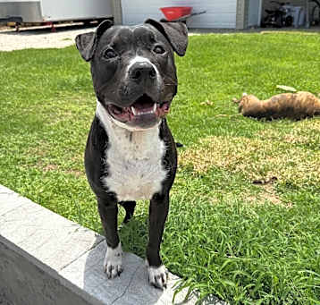 Photo of Kobe