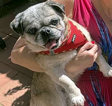 Photo of Melvin