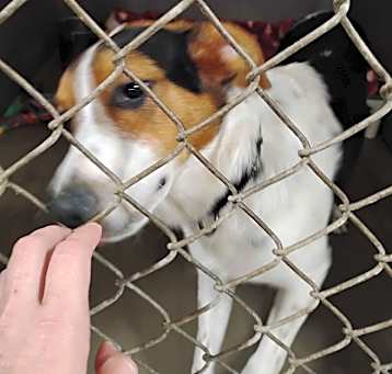 Photo of Waylon