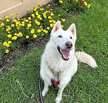 Photo of Sasha