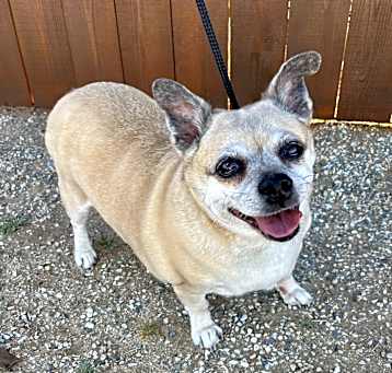 Photo of PRECIOUS