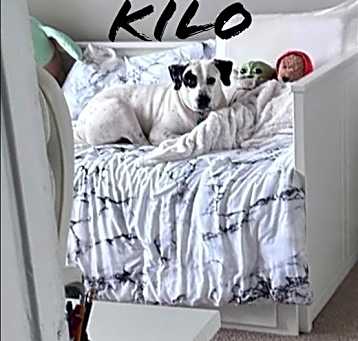 Photo of Kilo