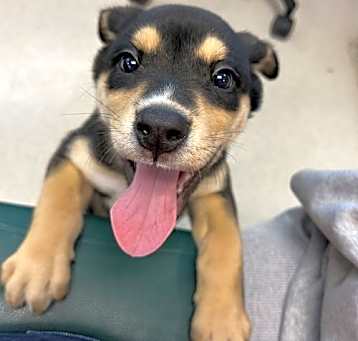 Photo of Blue
