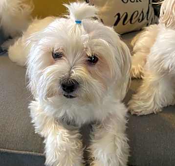 Photo of Elsa