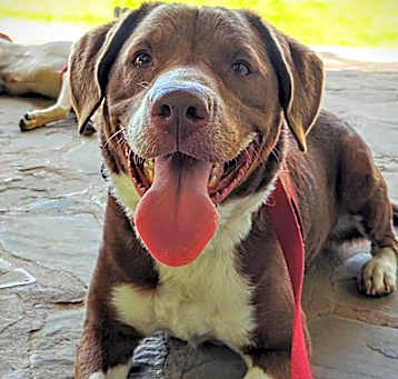 Photo of Gunther