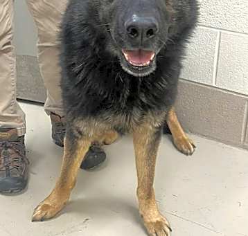 Photo of Dugan