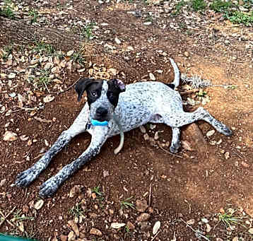 Photo of Remington