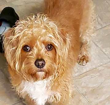 Photo of Princess