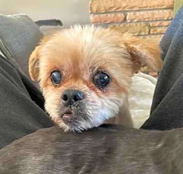 Photo of Cleo