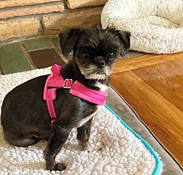 Photo of Chloe