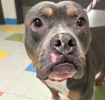 Photo of Drax