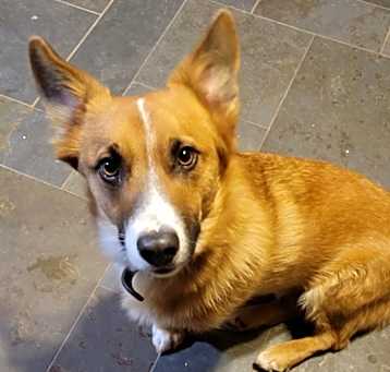 Photo of Squishy
