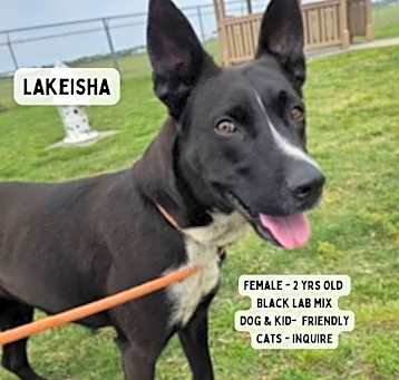 Photo of Lakeisha