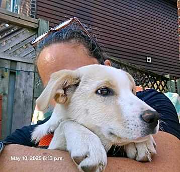 Photo of Dailsy