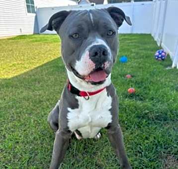 Photo of Zeus