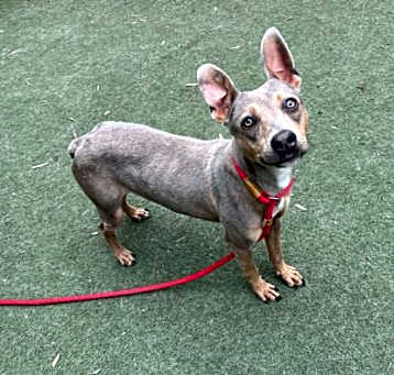 Photo of SAMMY