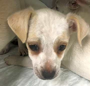 Photo of TANGO