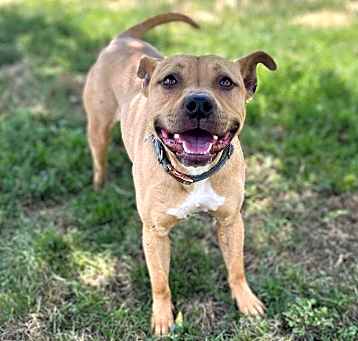 Photo of NALA