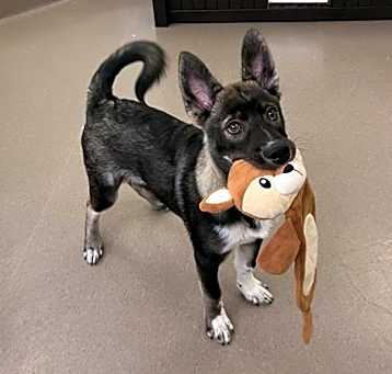 Photo of LUCKY