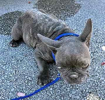 Photo of MISSY
