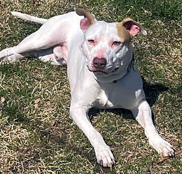 Photo of Zoe