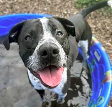 Photo of CHECKERS
